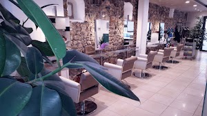STUDIO VENUS di Pellizzari Elisa place picture